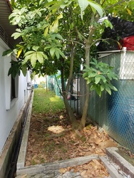 Jalan Kayu Estate (D28), Terrace #168152142